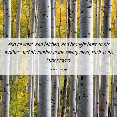 Picture 06 - Genesis 27:14 KJV - And he went, and fetched, and brought them to his - Bible Verse Picture