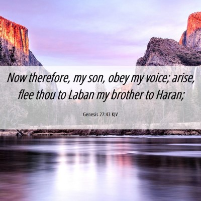 Picture 06 - Genesis 27:43 KJV - Now therefore, my son, obey my voice; arise, flee - Bible Verse Picture