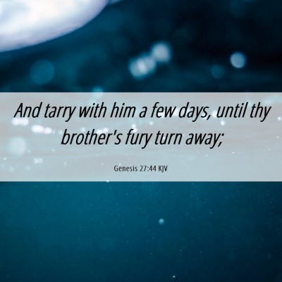 Picture 06 - Genesis 27:44 KJV - And tarry with him a few days, until thy - Bible Verse Picture