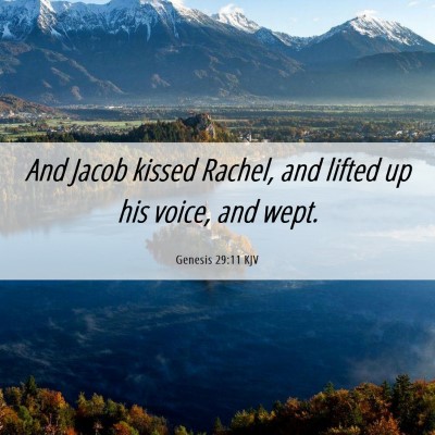 Picture 06 - Genesis 29:11 KJV - And Jacob kissed Rachel, and lifted up his voice, - Bible Verse Picture
