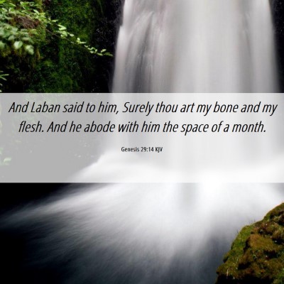 Picture 06 - Genesis 29:14 KJV - And Laban said to him, Surely thou art my bone - Bible Verse Picture