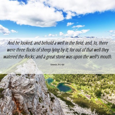 Picture 06 - Genesis 29:2 KJV - And he looked, and behold a well in the field, - Bible Verse Picture
