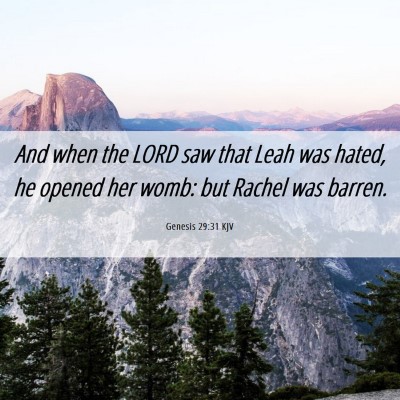 Picture 06 - Genesis 29:31 KJV - And when the LORD saw that Leah was hated, he - Bible Verse Picture