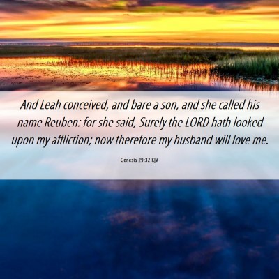 Picture 06 - Genesis 29:32 KJV - And Leah conceived, and bare a son, and she - Bible Verse Picture