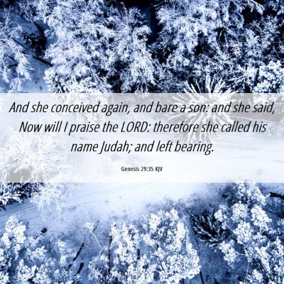 Picture 06 - Genesis 29:35 KJV - And she conceived again, and bare a son: and she - Bible Verse Picture
