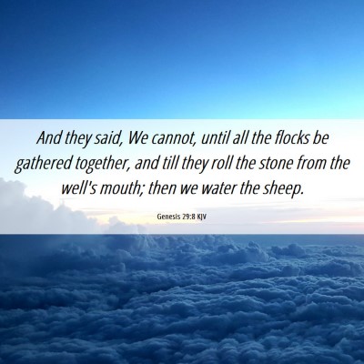 Picture 06 - Genesis 29:8 KJV - And they said, We cannot, until all the flocks be - Bible Verse Picture