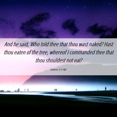 Picture 06 - Genesis 3:11 KJV - And he said, Who told thee that thou wast naked? - Bible Verse Picture