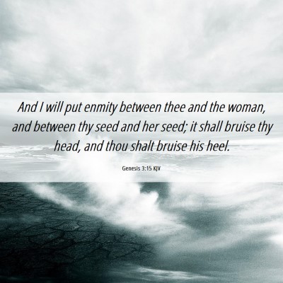 Picture 06 - Genesis 3:15 KJV - And I will put enmity between thee and the woman, - Bible Verse Picture