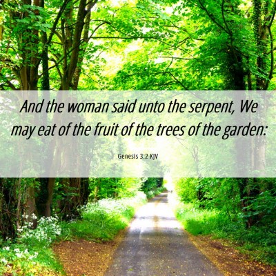 Picture 06 - Genesis 3:2 KJV - And the woman said unto the serpent, We may eat - Bible Verse Picture