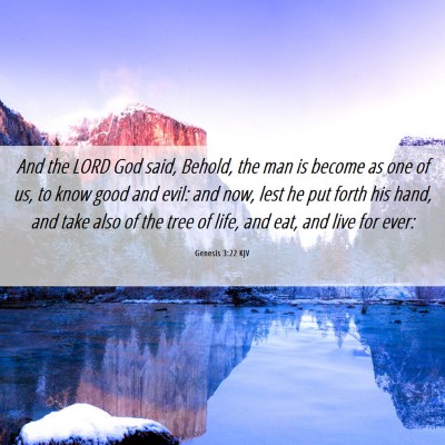 Picture 06 - Genesis 3:22 KJV - And the LORD God said, Behold, the man is become - Bible Verse Picture