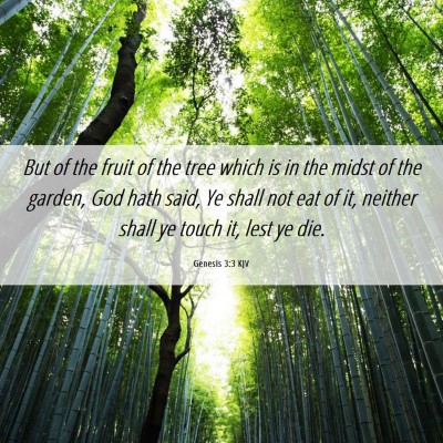 Picture 06 - Genesis 3:3 KJV - But of the fruit of the tree which is in the - Bible Verse Picture