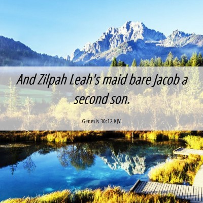 Picture 06 - Genesis 30:12 KJV - And Zilpah Leah's maid bare Jacob a second - Bible Verse Picture