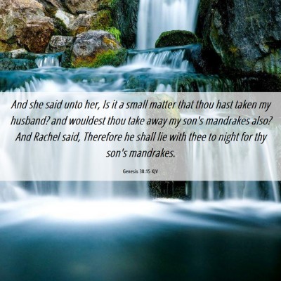 Picture 06 - Genesis 30:15 KJV - And she said unto her, Is it a small matter that - Bible Verse Picture