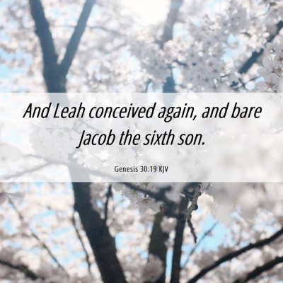 Picture 06 - Genesis 30:19 KJV - And Leah conceived again, and bare Jacob the - Bible Verse Picture
