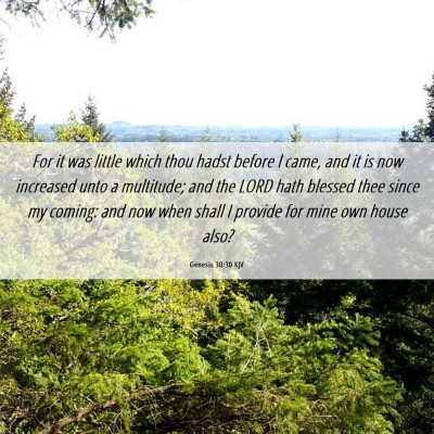 Picture 06 - Genesis 30:30 KJV - For it was little which thou hadst before I came, - Bible Verse Picture