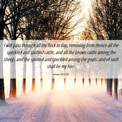 Picture 06 - Genesis 30:32 KJV - I will pass through all thy flock to day, - Bible Verse Picture