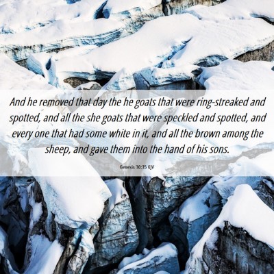 Picture 06 - Genesis 30:35 KJV - And he removed that day the he goats that were - Bible Verse Picture