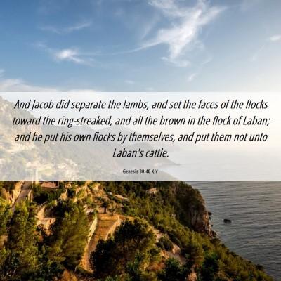 Picture 06 - Genesis 30:40 KJV - And Jacob did separate the lambs, and set the - Bible Verse Picture