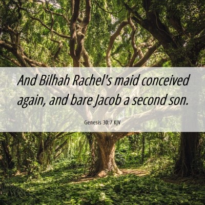 Picture 06 - Genesis 30:7 KJV - And Bilhah Rachel's maid conceived again, and - Bible Verse Picture