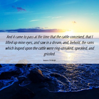 Picture 06 - Genesis 31:10 KJV - And it came to pass at the time that the cattle - Bible Verse Picture