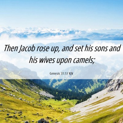 Picture 06 - Genesis 31:17 KJV - Then Jacob rose up, and set his sons and his - Bible Verse Picture