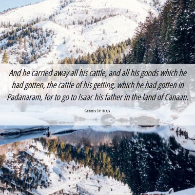 Picture 06 - Genesis 31:18 KJV - And he carried away all his cattle, and all his - Bible Verse Picture