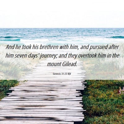 Picture 06 - Genesis 31:23 KJV - And he took his brethren with him, and pursued - Bible Verse Picture