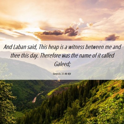 Picture 06 - Genesis 31:48 KJV - And Laban said, This heap is a witness between me - Bible Verse Picture