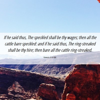 Picture 06 - Genesis 31:8 KJV - If he said thus, The speckled shall be thy wages; - Bible Verse Picture