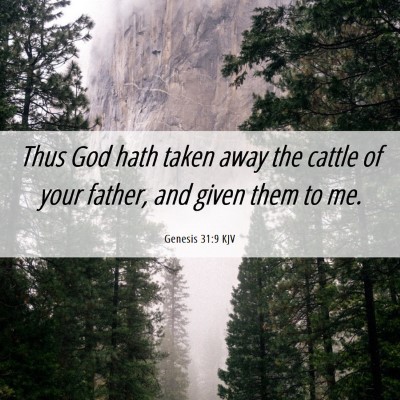 Picture 06 - Genesis 31:9 KJV - Thus God hath taken away the cattle of your - Bible Verse Picture