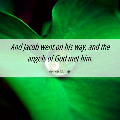 Picture 06 - Genesis 32:1 KJV - And Jacob went on his way, and the angels of God - Bible Verse Picture