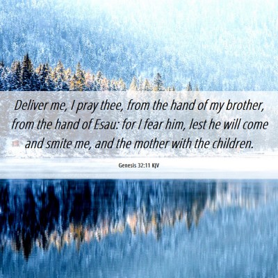 Picture 06 - Genesis 32:11 KJV - Deliver me, I pray thee, from the hand of my - Bible Verse Picture