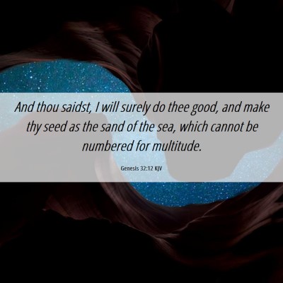 Picture 06 - Genesis 32:12 KJV - And thou saidst, I will surely do thee good, and - Bible Verse Picture