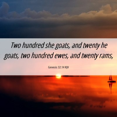 Picture 06 - Genesis 32:14 KJV - Two hundred she goats, and twenty he goats, two - Bible Verse Picture