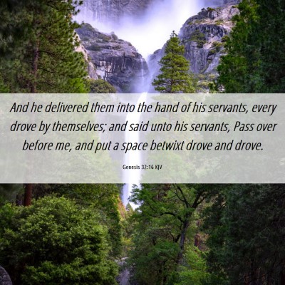 Picture 06 - Genesis 32:16 KJV - And he delivered them into the hand of his - Bible Verse Picture