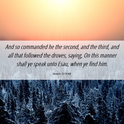 Picture 06 - Genesis 32:19 KJV - And so commanded he the second, and the third, - Bible Verse Picture
