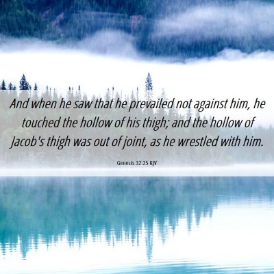 Picture 06 - Genesis 32:25 KJV - And when he saw that he prevailed not against - Bible Verse Picture