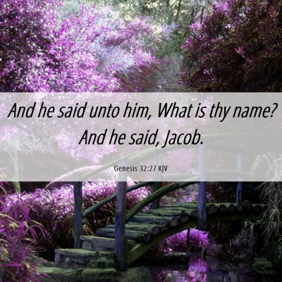 Picture 06 - Genesis 32:27 KJV - And he said unto him, What is thy name? And he - Bible Verse Picture