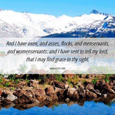 Picture 06 - Genesis 32:5 KJV - And I have oxen, and asses, flocks, and - Bible Verse Picture