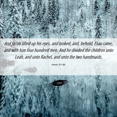 Picture 06 - Genesis 33:1 KJV - And Jacob lifted up his eyes, and looked, and, - Bible Verse Picture