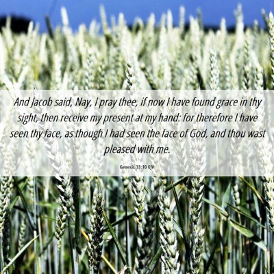 Picture 06 - Genesis 33:10 KJV - And Jacob said, Nay, I pray thee, if now I have - Bible Verse Picture