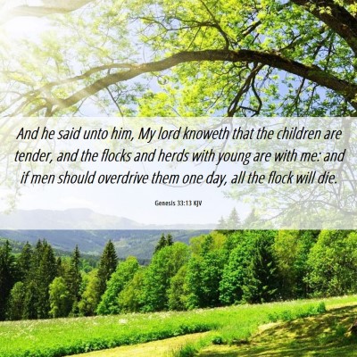 Picture 06 - Genesis 33:13 KJV - And he said unto him, My lord knoweth that the - Bible Verse Picture