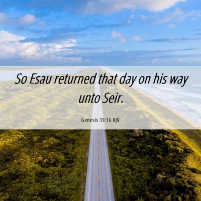 Picture 06 - Genesis 33:16 KJV - So Esau returned that day on his way unto - Bible Verse Picture