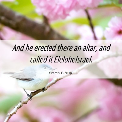 Picture 06 - Genesis 33:20 KJV - And he erected there an altar, and called it - Bible Verse Picture