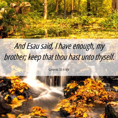 Picture 06 - Genesis 33:9 KJV - And Esau said, I have enough, my brother; keep - Bible Verse Picture
