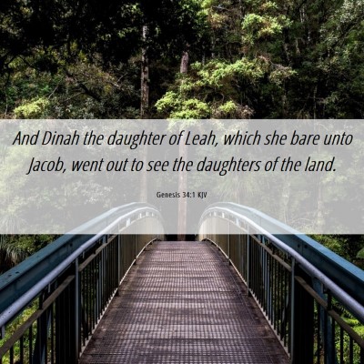 Picture 06 - Genesis 34:1 KJV - And Dinah the daughter of Leah, which she bare - Bible Verse Picture