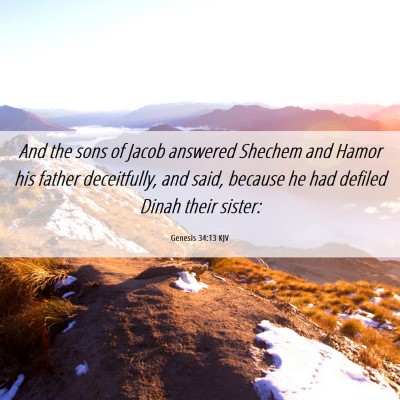 Picture 06 - Genesis 34:13 KJV - And the sons of Jacob answered Shechem and Hamor - Bible Verse Picture