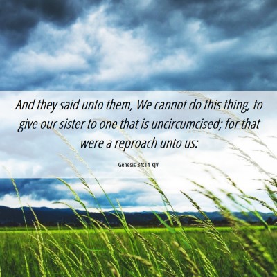 Picture 06 - Genesis 34:14 KJV - And they said unto them, We cannot do this thing, - Bible Verse Picture