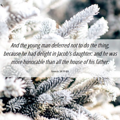 Picture 06 - Genesis 34:19 KJV - And the young man deferred not to do the thing, - Bible Verse Picture