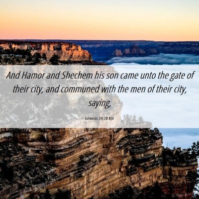 Picture 06 - Genesis 34:20 KJV - And Hamor and Shechem his son came unto the gate - Bible Verse Picture